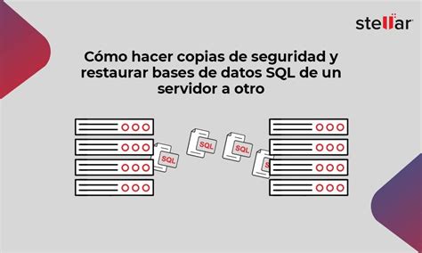 crear usuario para copias de seguridad base de datos